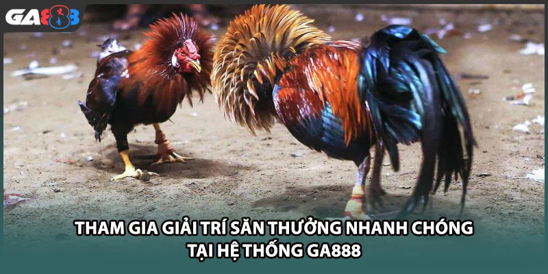 Tham gia giải trí săn thưởng nhanh chóng tại nhà cái  GA888